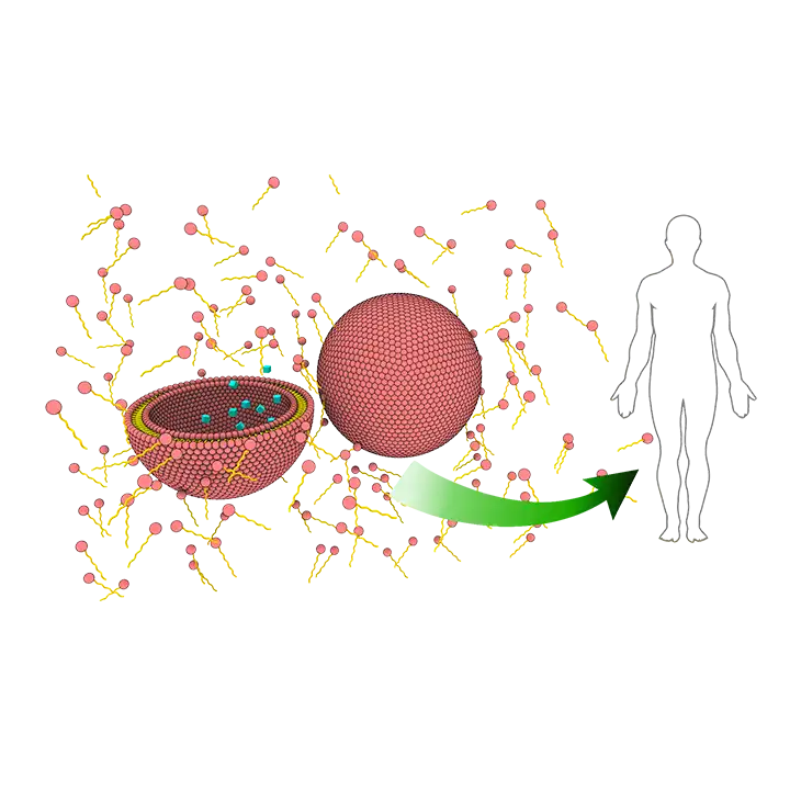 vignette image représentant la thématique "Systèmes de vectorisation bioinspirés et/ou biosourcés" de l'équipe SMODD - Systèmes Moléculaires Organisés et Développement Durable - ©Emile Perez