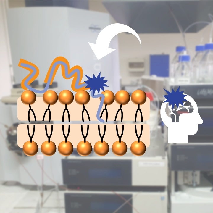 vignette image représentant la thématique "Outils analytiques appliqués aux phénomènes d'oxydation et au métabolisme" de l'équipe BIBAC - Interaction de biomolécules avec la matière molle biomimétique et analyse chimique - ©Fabrice Collin