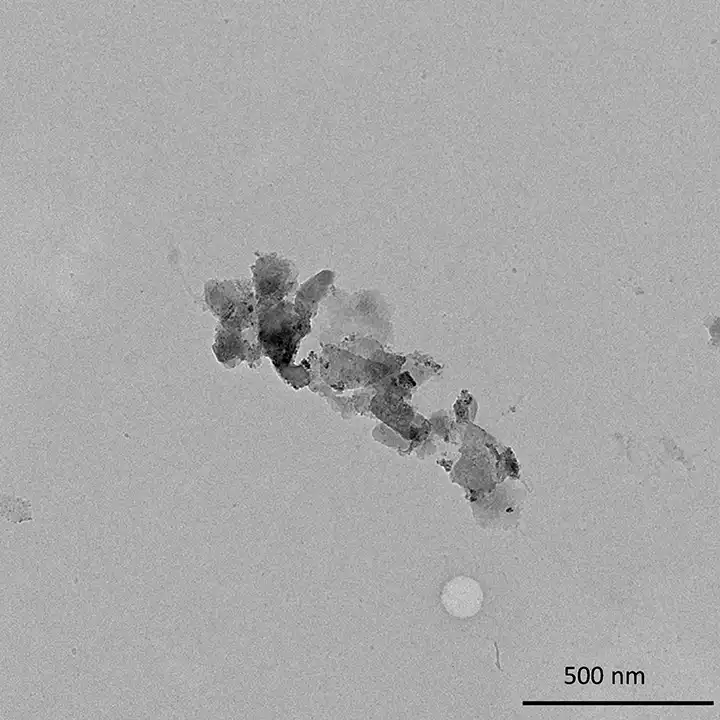 image en microscopie d'un colloïde (1 à 1000 nm) collecté dans la Garonne de la thématique "Pollution de plastique et recyclage" de l'équipe SMODD - Systèmes Moléculaires Organisés et Développement Durable - ©Alexandra ter Halle