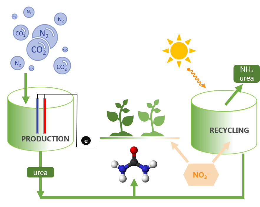 image illustrant la production d'urée à partir de N2 et ou NO3- et de CO2 de la thématique "Colloïdes pour l'environnement : (photo)catalyse et capture du CO2" de l'équipe IDeAS - Interfaces Dynamiques et Assemblages Stimulables ©Nancy de Viguerie