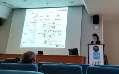 Fang Yin, PhD student at Softmat, has defended her thesis on multi-responsive copolymers
