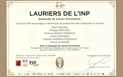 INP INNOV’ 2019 prize awarded to Florence Benoit-Marquié, faculty staff at Softmat