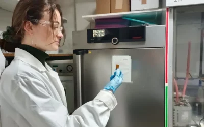 Solène Guggari, doctorante à Softmat, a soutenu sa thèse sur les matériaux vitrimères disulfures biosourcés pour des applications industrielles