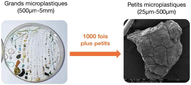 Comparaison des grands et petits microplastiques ©Softmat