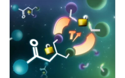 Des plastiques recyclables « à la demande »